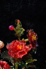 Camellia Hill - Image 4