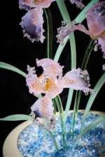 Calm Company - Image 2