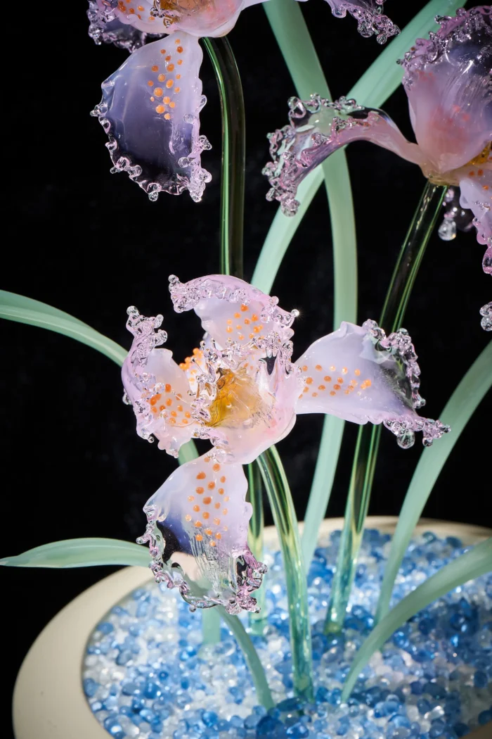 Calm Company - Image 2