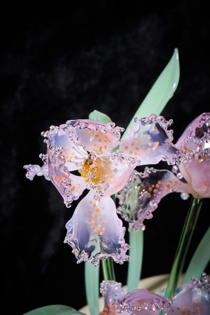 Calm Company - Image 3