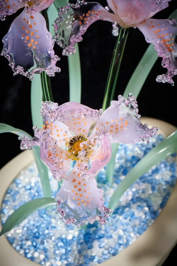 Calm Company - Image 4