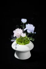 White Garden in Stillness