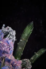 A Gift of May - Image 3