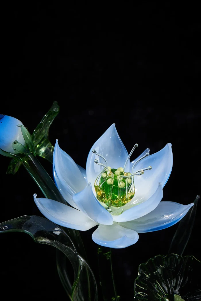Lotus Light - Image 3
