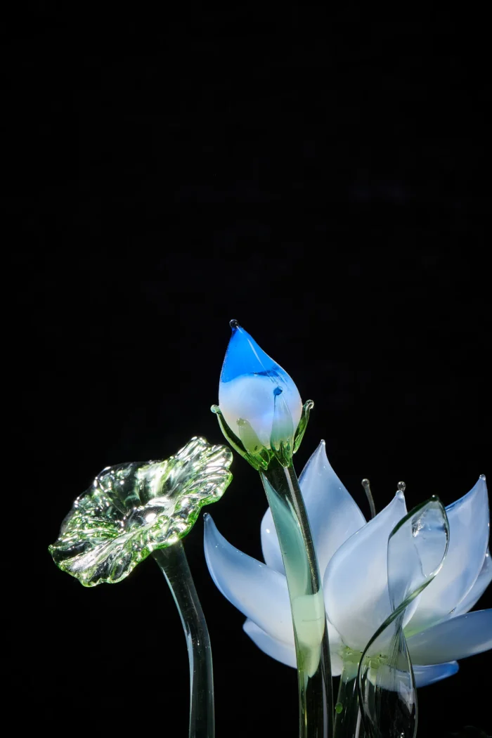 Lotus Light - Image 4