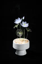 Mini White Lotu