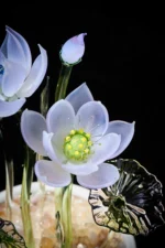 Mini White Lotu - Image 3