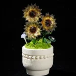A Tiny Sun