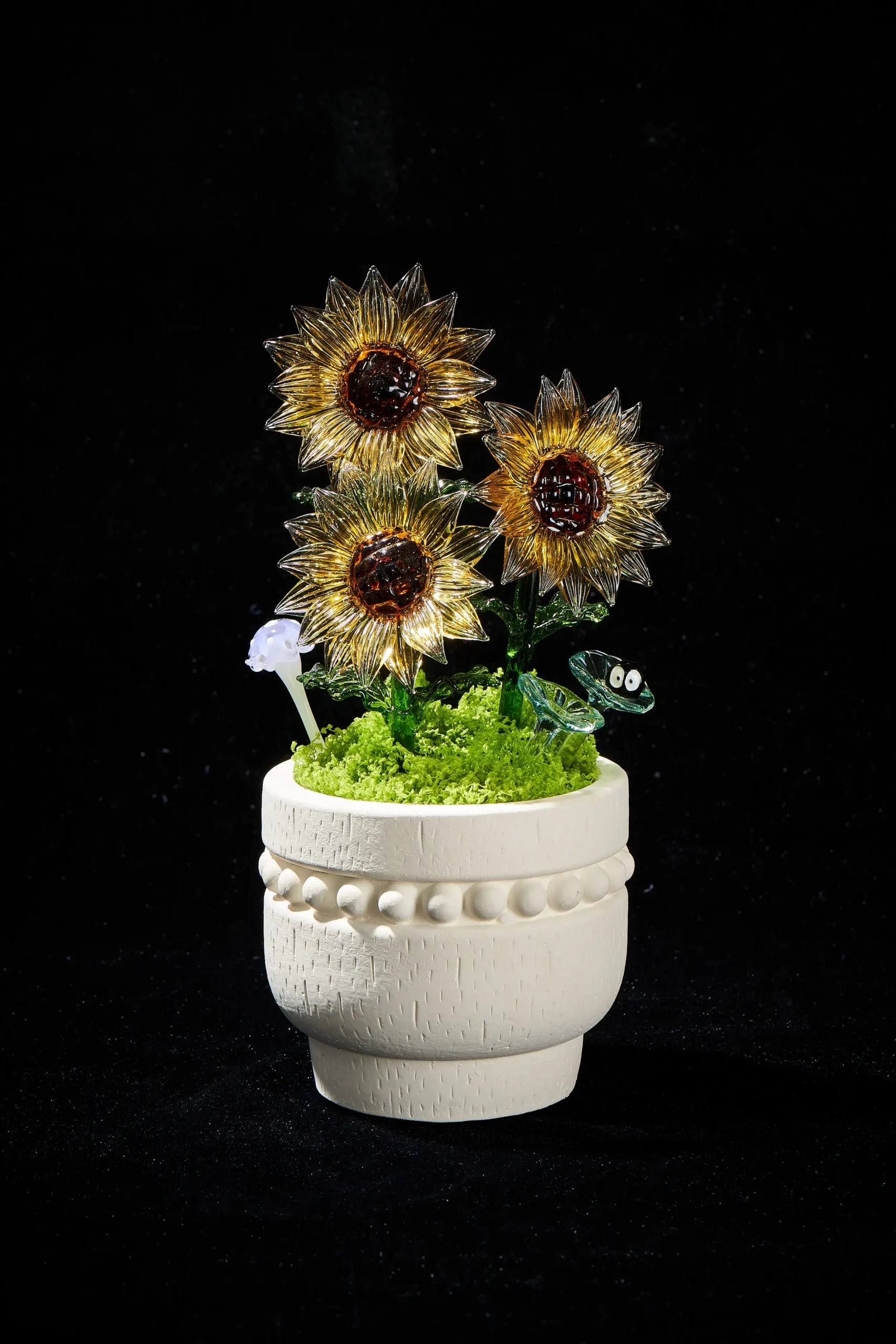 N0359 A Tiny Sun - Image 1