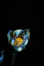 After the Pause - Image 3