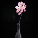 One Bloom in Stillness