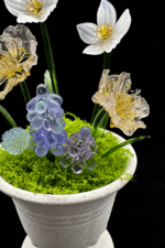 First Bloom - Image 2