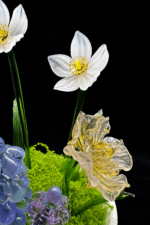 First Bloom - Image 3
